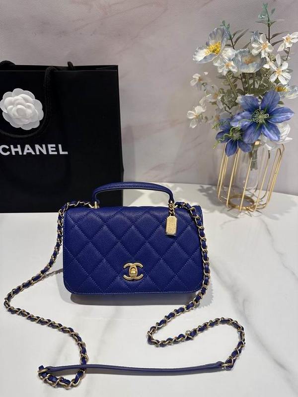 Chanel Handbags 393